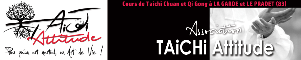 logo Taichi Attitude